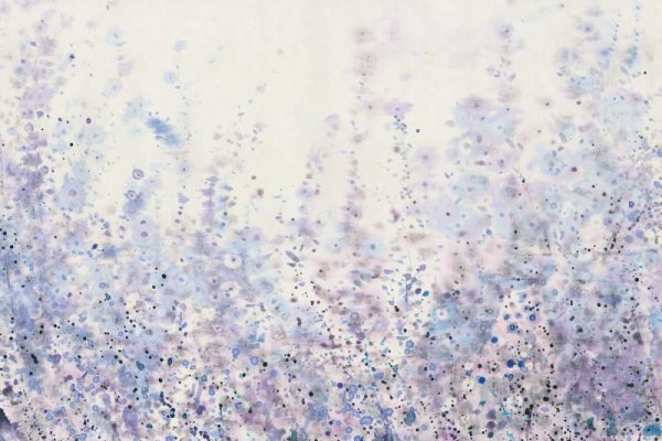 Soft Focus I by Tim O'Toole - Hand-Painted Oil Painting Reproduction