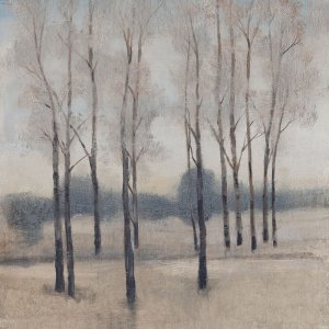 Soft Light I by Tim O'Toole Oil Painting