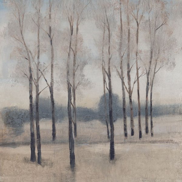 Main Product Photo of Soft Light I Painting by Tim O'Toole