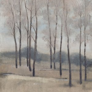 Soft Light II by Tim O'Toole Oil Painting