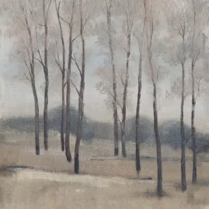 Soft Light II by Tim O'Toole Oil Painting