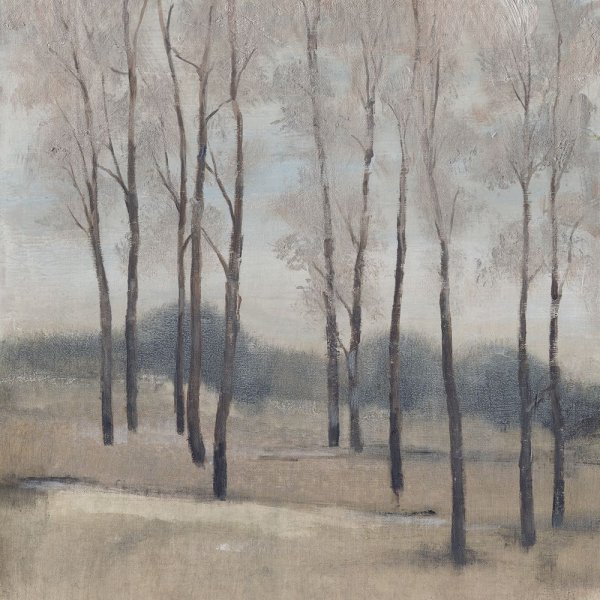 Soft Light II by Tim O'Toole - Hand-Painted Oil Painting Reproduction