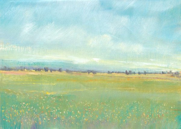 Main Product Photo of Soft Meadow Light I Painting by Tim O'Toole