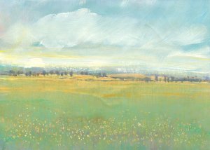 Soft Meadow Light II by Tim O'Toole Oil Painting