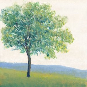 Solitary Tree I Oil painting by Tim O'Toole