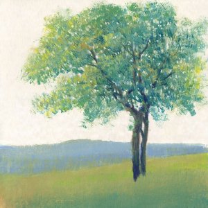 Solitary Tree II by Tim O'Toole Oil Painting