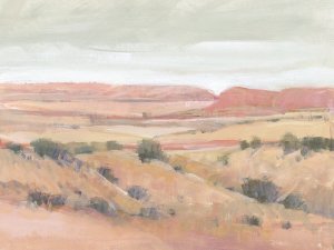 Southwest Landscape I by Tim O'Toole Oil Painting