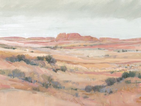 Main Product Photo of Southwest Landscape II Painting by Tim O'Toole