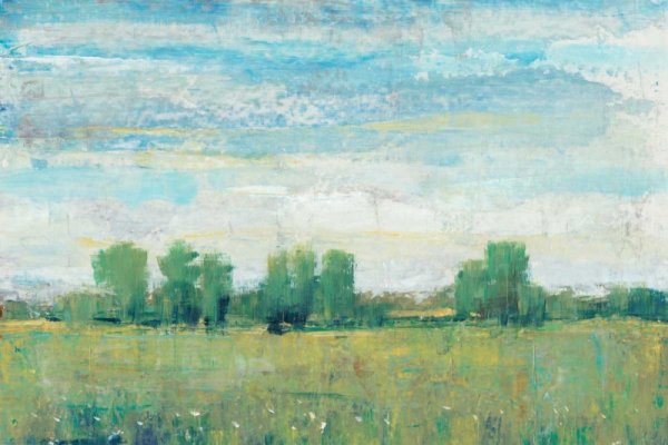 Splendor in Spring I by Tim O'Toole - Hand-Painted Oil Painting Reproduction