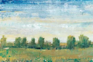 Splendor in Spring II by Tim O'Toole Oil Painting