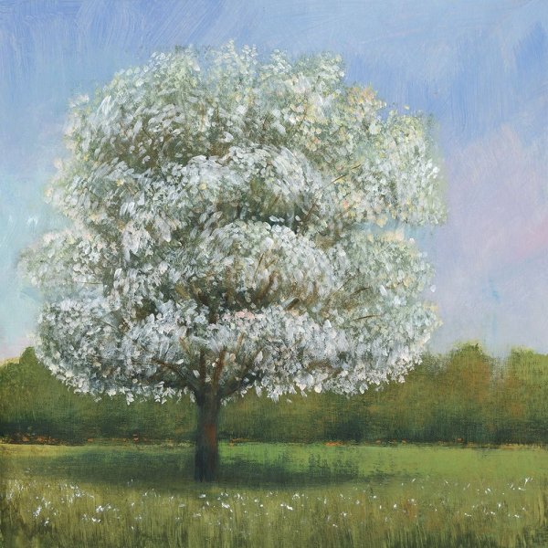 Spring Blossom Tree I by Tim O'Toole - Hand-Painted Oil Painting Reproduction