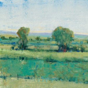 Spring Meadow I by Tim O'Toole Oil Painting