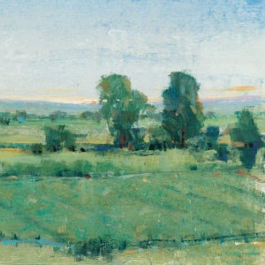 Spring Meadow II by Tim O'Toole Oil Painting