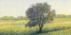 Standing Alone II by Tim O'Toole Oil Painting