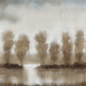 Subtle Reflection I by Tim O'Toole Oil Painting