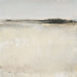 Subtle Scape I by Tim O'Toole Oil Painting