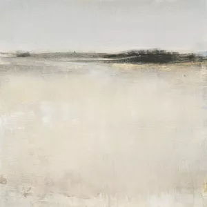 Subtle Scape I by Tim O'Toole Oil Painting