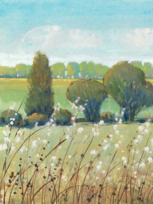 Summer Breeze I by Tim O'Toole Oil Painting