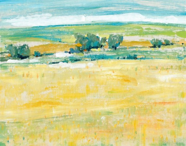 Main Product Photo of Summer Heat II Painting by Tim O'Toole