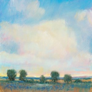 Summer Sky I by Tim O'Toole Oil Painting