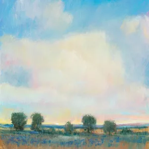 Summer Sky I by Tim O'Toole Oil Painting