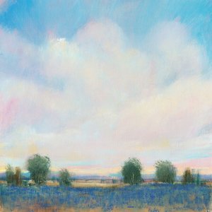 Summer Sky II by Tim O'Toole Oil Painting