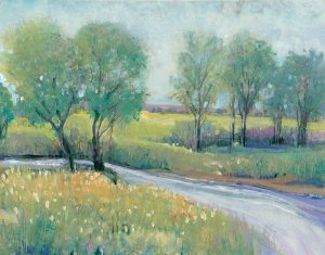 Summer Stream I by Tim O'Toole Oil Painting
