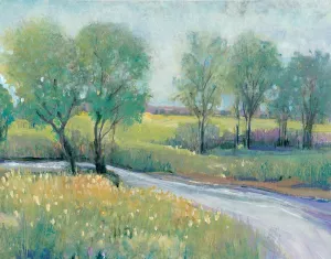Summer Stream I by Tim O'Toole Oil Painting