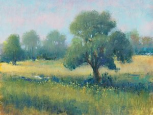 Summer Time I by Tim O'Toole Oil Painting