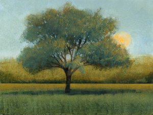 Sunrise I by Tim O'Toole Oil Painting
