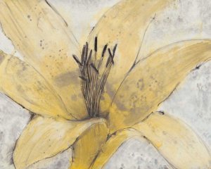 Transparency Flower I by Tim O'Toole Oil Painting