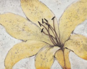 Transparency Flower II by Tim O'Toole Oil Painting