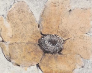 Transparency Flower III by Tim O'Toole Oil Painting