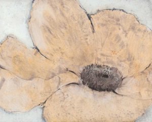 Transparency Flower IV by Tim O'Toole Oil Painting