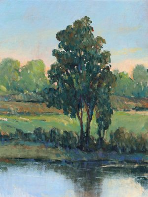 Tree by the Riverbank I by Tim O'Toole Oil Painting