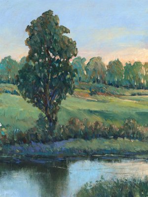 Tree by the Riverbank II by Tim O'Toole Oil Painting