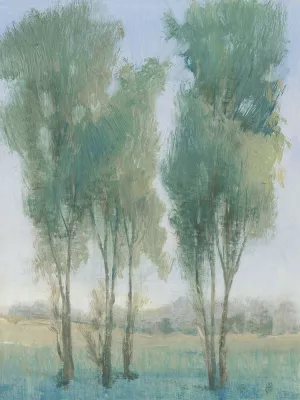 Tree Grove II Oil Painting by Tim O'Toole - Contemporary