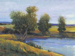 Trees Reflection II by Tim O'Toole Oil Painting