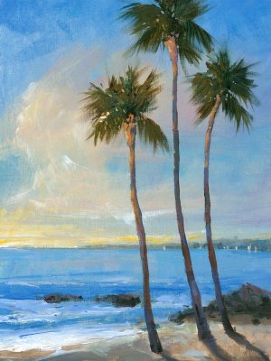 Tropical Breeze II by Tim O'Toole Oil Painting