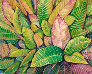 Tropical Close Up I by Tim O'Toole Oil Painting