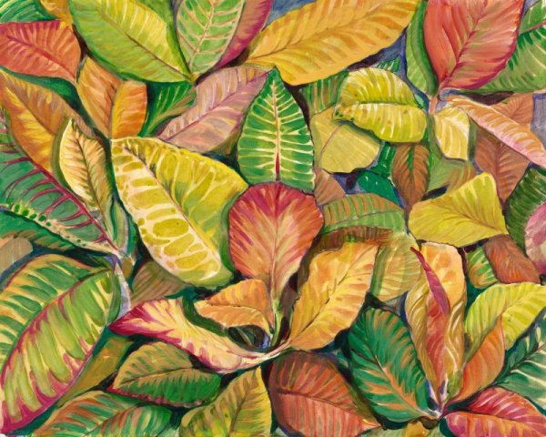 Tropical Close Up II by Tim O'Toole - Hand-Painted Oil Painting Reproduction