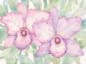 Tropical Orchid Watercolor I Oil painting by Tim O'Toole