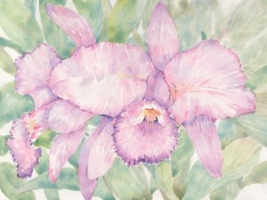Tropical Orchid Watercolor II by Tim O'Toole Oil Painting