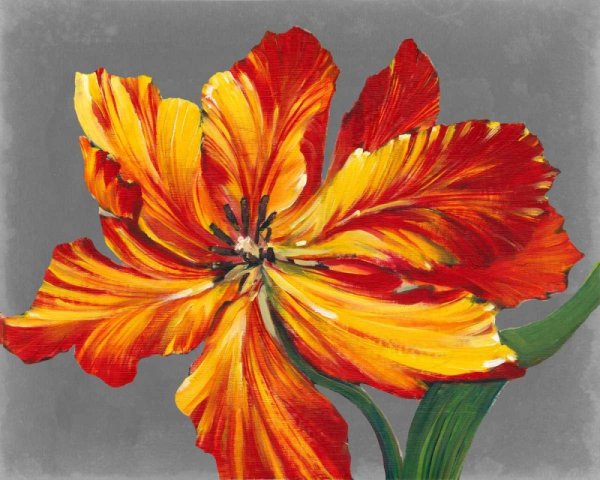 Main Product Photo of Tulip Portrait I Painting by Tim O'Toole