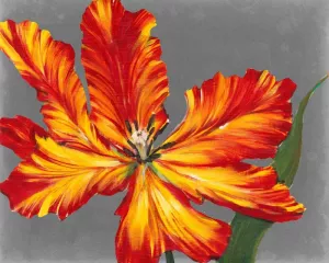 Tulip Portrait II by Tim O'Toole Oil Painting