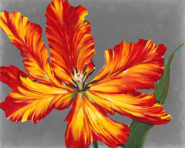 Main Product Photo of Tulip Portrait II Painting by Tim O'Toole