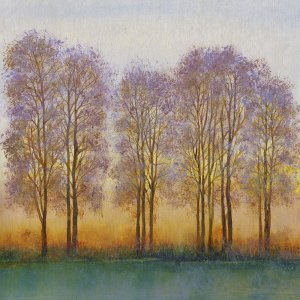 Twilight Glow I by Tim O'Toole Oil Painting
