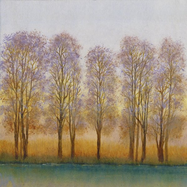 Main Product Photo of Twilight Glow II Painting by Tim O'Toole