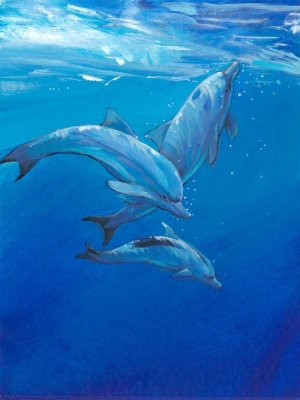Under Sea Dolphins Oil Painting by Tim O'Toole - Contemporary