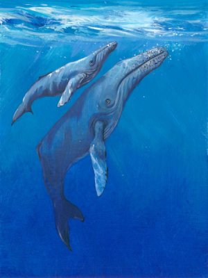 Under Sea Whales I by Tim O'Toole Oil Painting